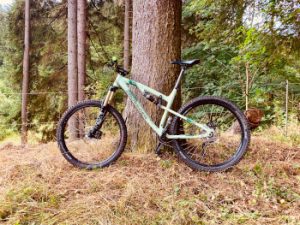 bike im wald